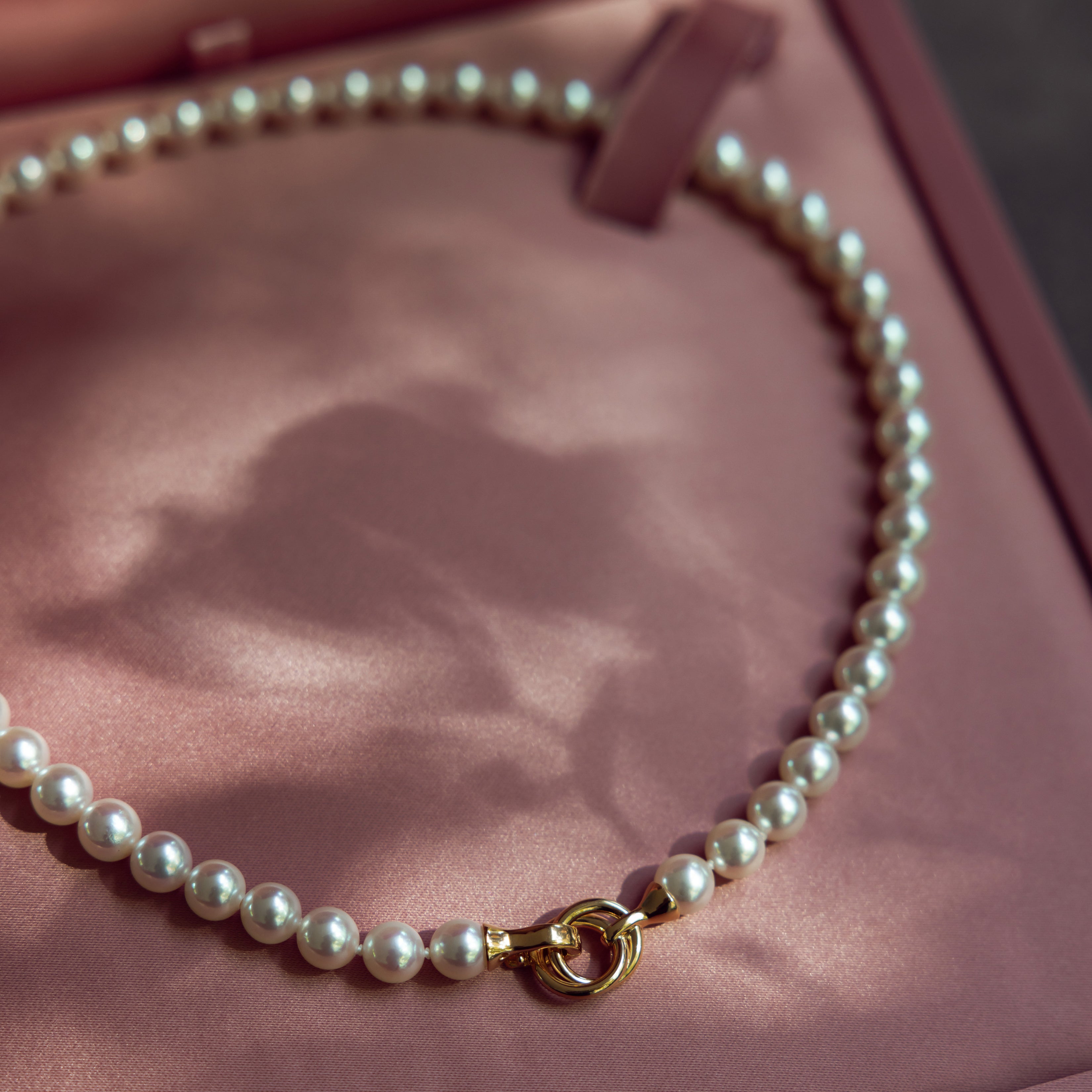 104439-SiVG, 104439-GG, 104503_SiVG, 104503-GG, 107652-SiVG, 107652-GG